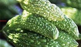 河马吃凉瓜,凉瓜的清凉诱惑