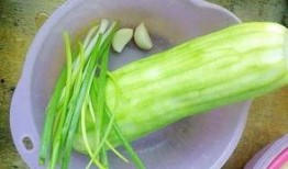 水瓜怎样吃,探索健康美味的烹饪之道