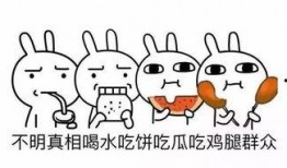 瓜皮的吃瓜群众,揭秘吃瓜群众的狂欢世界