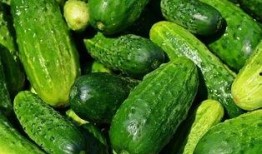 有趣的吃瓜群名字,揭秘那些趣味盎然的吃瓜群名字