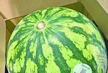 武汉吃瓜的视频,趣味横生的市井百态