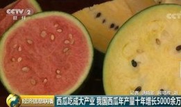 中国吃瓜群众歌曲,一曲描绘当代社会现象的流行旋律