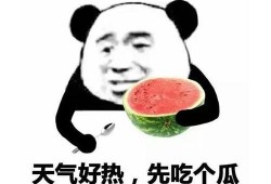 拿着瓜吃瓜表情包
