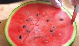 别吃自己的瓜,揭秘人际关系的微妙平衡