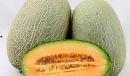 吃哈密瓜牙痛,牙痛背后的甜蜜代价