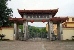 福建农林大学吃瓜,揭秘校园里的“吃瓜”文化现象