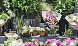 唐山好花店吃瓜,吃瓜群众的秘密花园