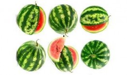 小夫olol吃瓜,揭秘网络红人的幕后故事