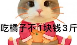 吃瓜表情包砂糖橘,吃瓜群众的欢乐源泉