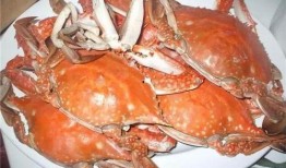 变成螃蟹吃瓜,一场跨界美食的奇幻之旅