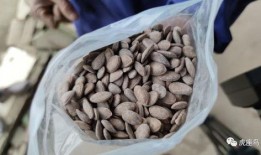 利用吃瓜挣钱,揭秘网络时代的新型盈利模式