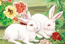 兔仙魅惑吃瓜,一场奇幻仙界的甜蜜诱惑