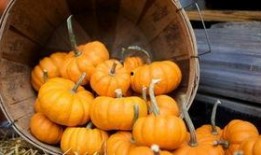 辽宁最新吃瓜新闻,揭秘某明星辽宁豪宅风波