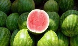 祖宗吃瓜,揭秘古代宫廷的消闲生活