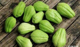 肉和瓜能一块吃吗,肉与瓜同食的饮食搭配探讨