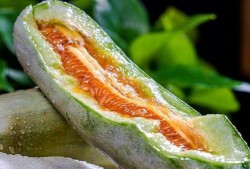 吃的瓜的品种大全,全面解析各式瓜类美食的品种大全