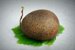 河套蜜瓜怎么吃,尽享夏日甜蜜时光