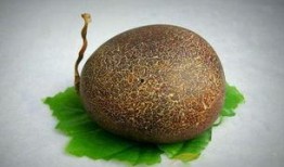 河套蜜瓜怎么吃,尽享夏日甜蜜时光