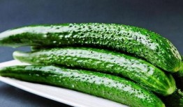 功夫小卫吃瓜,揭秘娱乐圈那些事儿