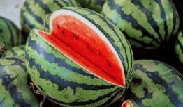 吃瓜必备手册,揭秘娱乐圈幕后真相与趣味故事