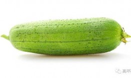 吃的瓜的品种大全,全面解析各式瓜类美食的品种大全