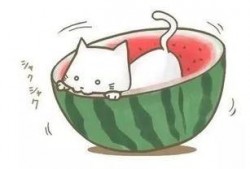 侃球吃瓜,揭秘足球圈那些不为人知的幕后故事