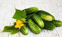 南京hero集体吃瓜