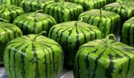 各种最全吃瓜合集,盘点娱乐圈、网红圈、社会热点，一网打尽！