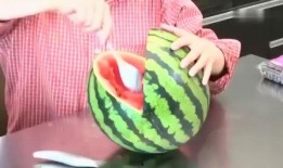 刀小刀吃瓜视屏,揭秘娱乐圈幕后故事