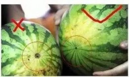 福州近期吃瓜,近期热门事件大盘点