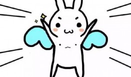 冉冉带你吃瓜,畅游瓜界美食之旅