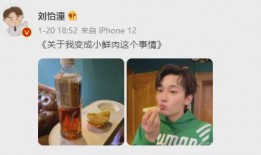 离谱吃瓜网红,揭秘网络红人的疯狂世界