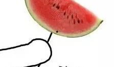 吃辛瓜图片,舌尖上的清新滋味