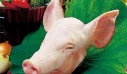 吃瓜吃出猪头寓意,揭秘生活中的意外寓意