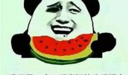 有趣的吃瓜群名字,揭秘那些趣味盎然的吃瓜群名字