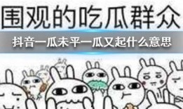 抖音届吃瓜,揭秘热门事件背后的真相