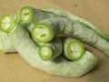 孕妇吃蛇瓜吗,孕妇可否食用蛇瓜？