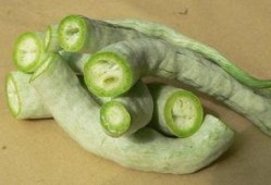 孕妇吃蛇瓜吗,孕妇可否食用蛇瓜？