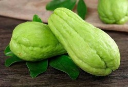 吃生佛手瓜