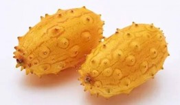 猴子吃蜜瓜,欢乐食趣记