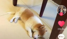 微笑吃瓜哥抖音,微笑吃瓜哥，带你领略网络笑果的魅力