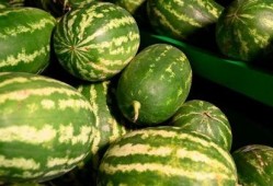 明斯克吃瓜事件,一场引发国际关注的误会风云