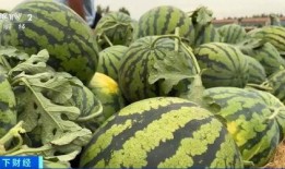 保定吃瓜上谷大观,探寻上谷大观美食之旅