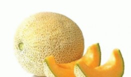 孕妇前期可以吃哈密瓜吗,哈密瓜——孕妇的天然营养佳品