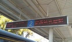 定西北站吃瓜,吃瓜群众的欢乐盛宴