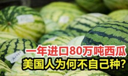 别吃自己的瓜,揭秘人际关系的微妙平衡