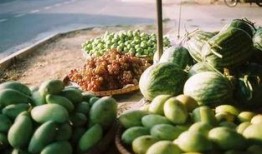 中国吃瓜群众歌曲,一曲描绘当代社会现象的流行旋律