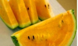 黄色圆瓜怎么吃,黄色圆瓜的多彩食法探索