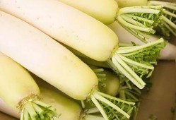 以语文角度吃瓜,语文视角下的吃瓜文化解读