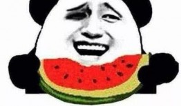 瓜哥吃瓜哈士企,揭秘哈士奇背后的趣味故事